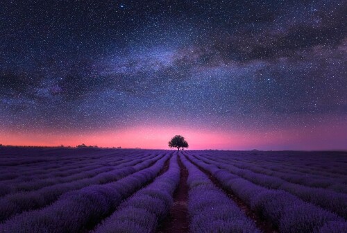 fields-8478994_1920.jpg